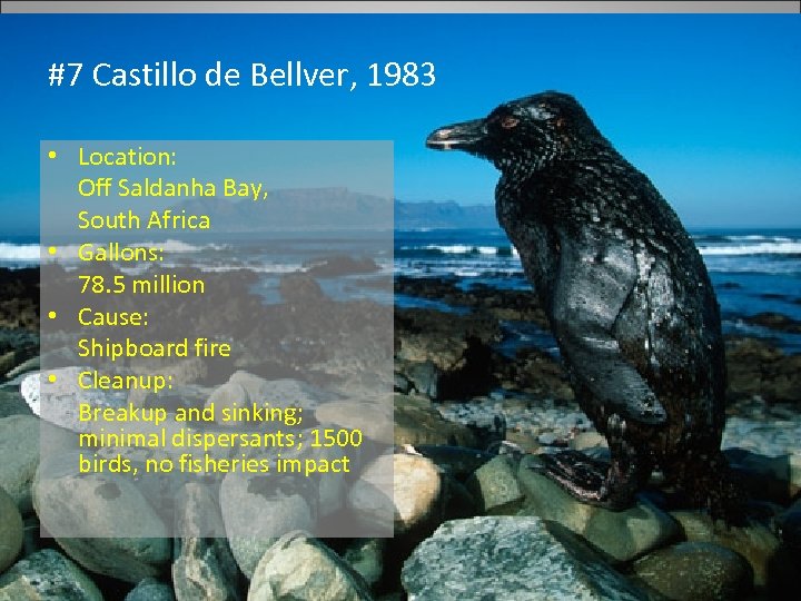 #7 Castillo de Bellver, 1983 • Location: Off Saldanha Bay, South Africa • Gallons: