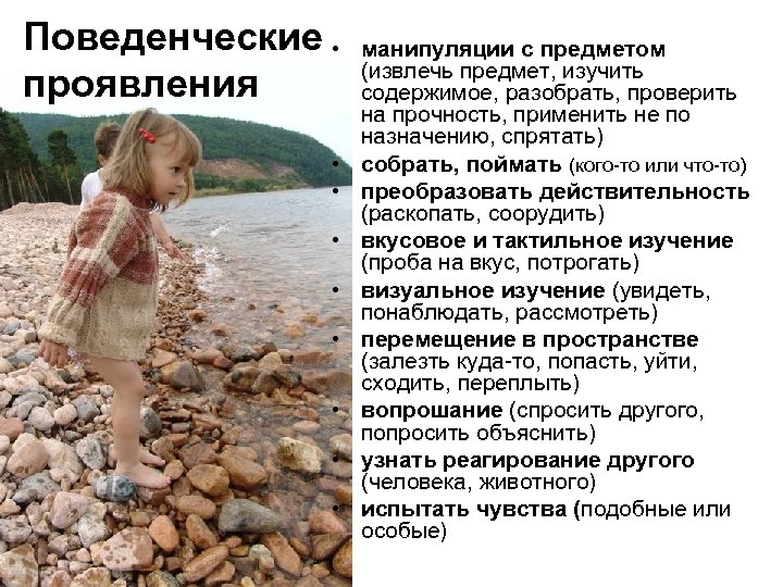 Поведенческие • проявления • • манипуляции с предметом (извлечь предмет, изучить содержимое, разобрать, проверить
