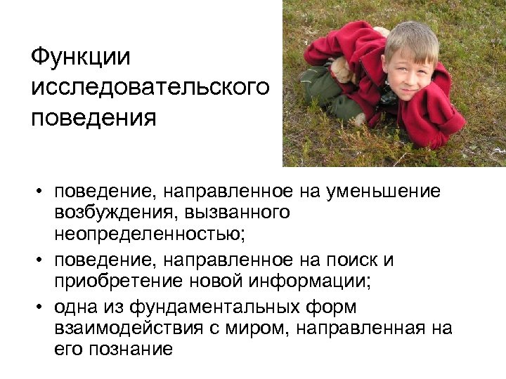 Функции исследовательского поведения • поведение, направленное на уменьшение возбуждения, вызванного неопределенностью; • поведение, направленное