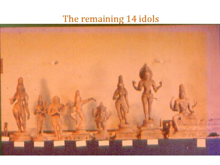 The remaining 14 idols 