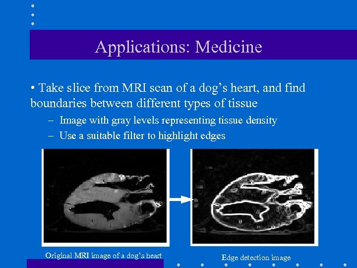 Applications: Medicine • Take slice from MRI scan of a dog’s heart, and find