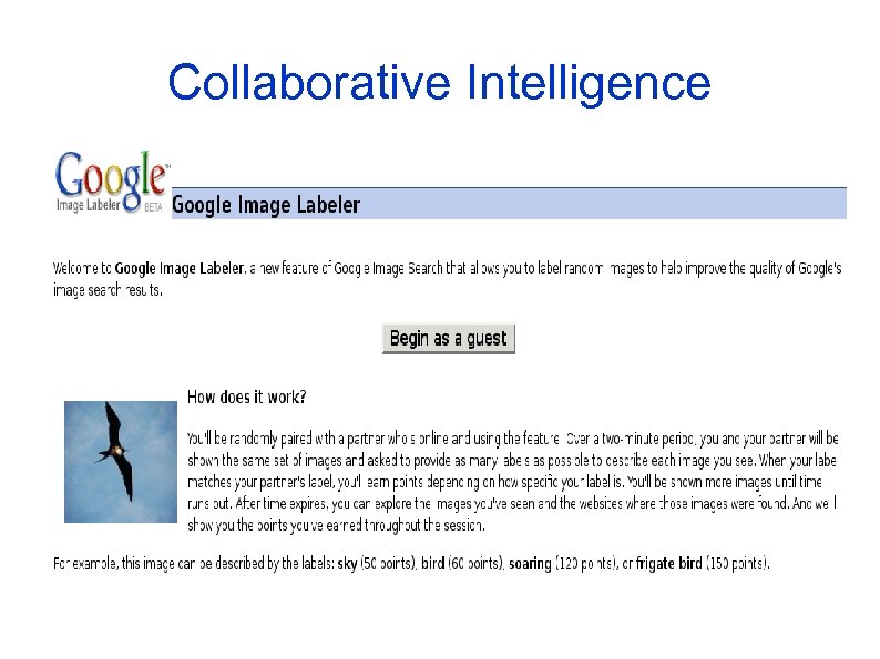 Collaborative Intelligence 