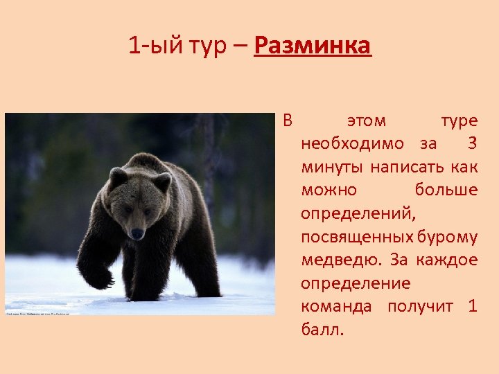 Как пишется медвеженок. Рассказ о медведе. Медведь описание для детей. Доклад о медведях.