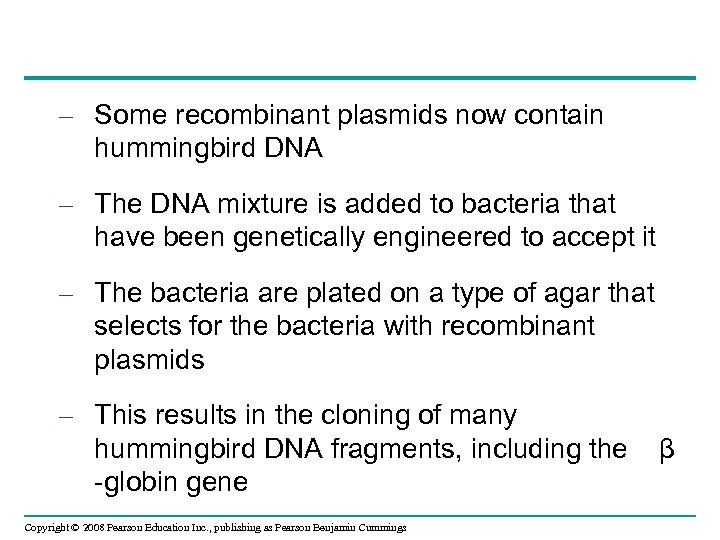 – Some recombinant plasmids now contain hummingbird DNA – The DNA mixture is added
