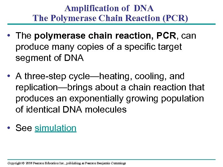 Amplification of DNA The Polymerase Chain Reaction (PCR) • The polymerase chain reaction, PCR,