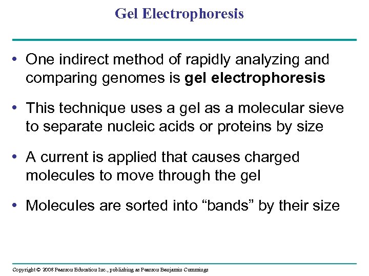 Gel Electrophoresis • One indirect method of rapidly analyzing and comparing genomes is gel