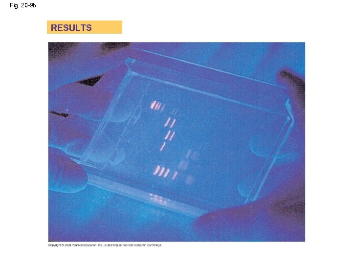 Fig. 20 -9 b RESULTS 