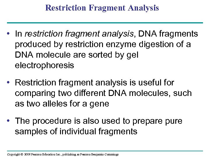 Restriction Fragment Analysis • In restriction fragment analysis, DNA fragments produced by restriction enzyme