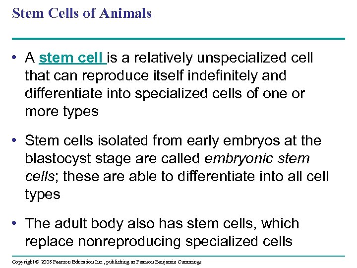 Stem Cells of Animals • A stem cell is a relatively unspecialized cell that