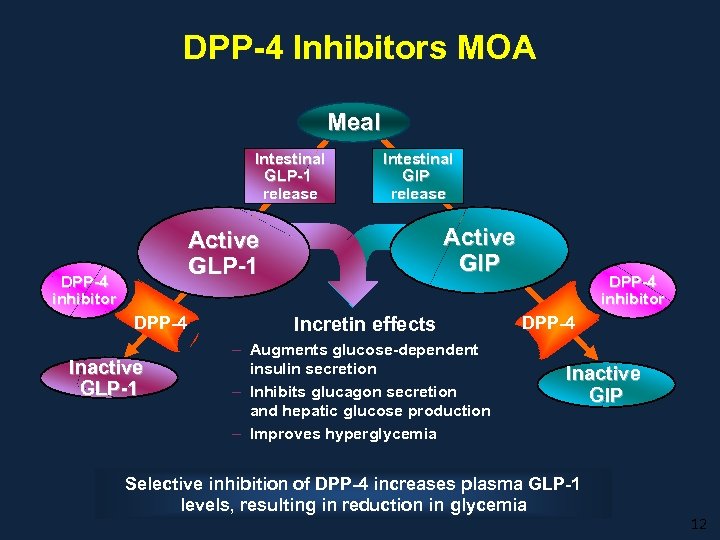 DPP-4 Inhibitors MOA Meal Intestinal GLP-1 release Intestinal GIP release Active GIP Active GLP-1