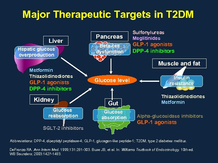 Major Therapeutic Targets in T 2 DM Liver Hepatic glucose overproduction Pancreas Sulfonylureas Meglitinides