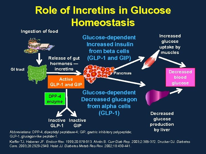 Role of Incretins in Glucose Homeostasis Ingestion of food GI tract Glucose-dependent Increased insulin