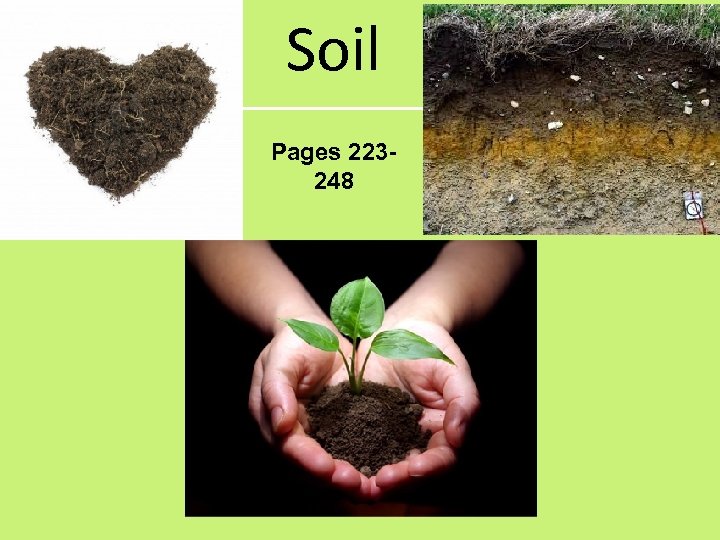 Soil Pages 223248 