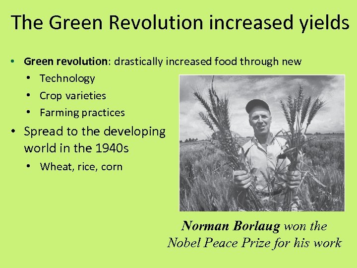 The Green Revolution increased yields • Green revolution: drastically increased food through new •
