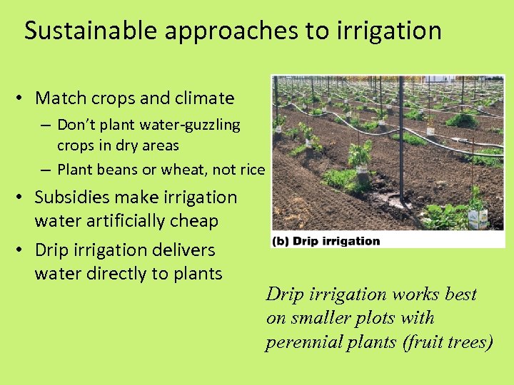 Sustainable approaches to irrigation • Match crops and climate – Don’t plant water-guzzling crops