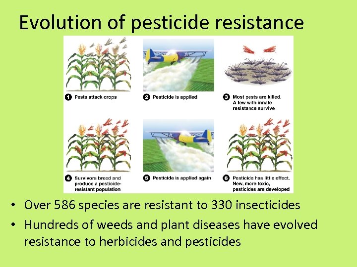 Evolution of pesticide resistance • Over 586 species are resistant to 330 insecticides •