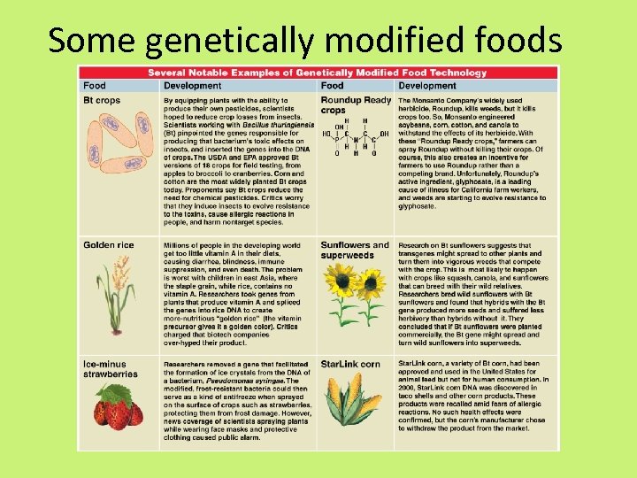 Some genetically modified foods 