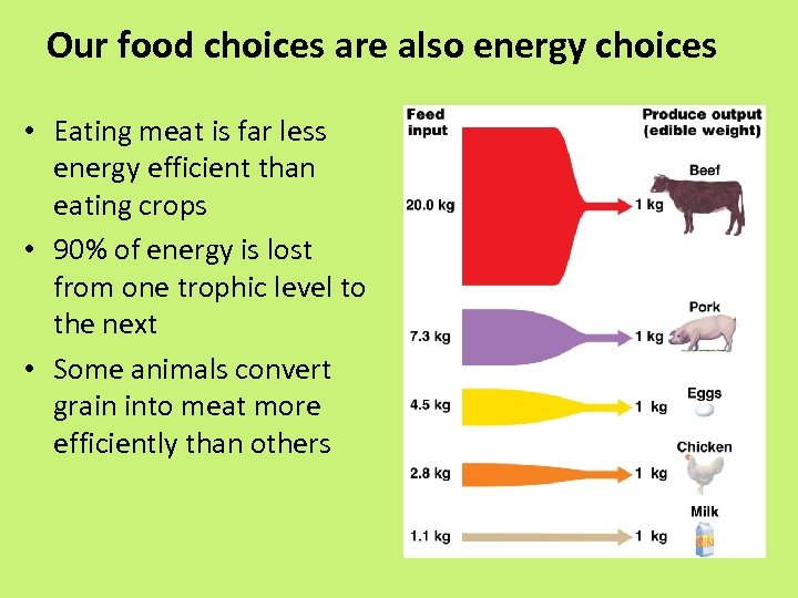 Our food choices are also energy choices • Eating meat is far less energy