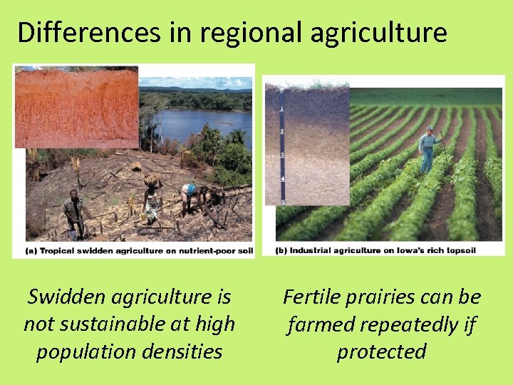 Differences in regional agriculture Swidden agriculture is not sustainable at high population densities Fertile