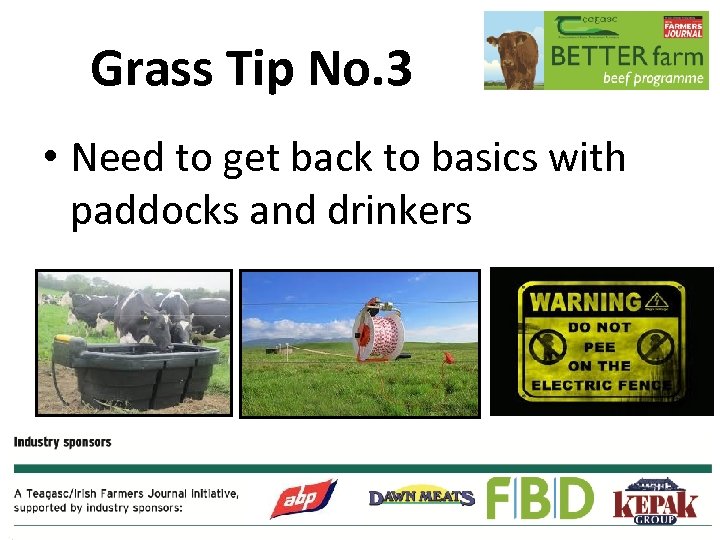 Grass Tip No. 3 • Need to get back to basics with paddocks and