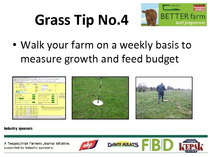 Grass Tip No. 4 • Walk your farm on a weekly basis to measure