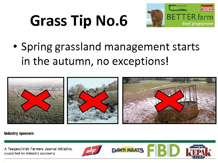 Grass Tip No. 6 • Spring grassland management starts in the autumn, no exceptions!