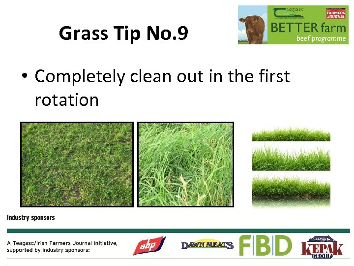 Grass Tip No. 9 • Completely clean out in the first rotation 