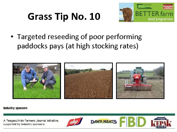 Grass Tip No. 10 • Targeted reseeding of poor performing paddocks pays (at high