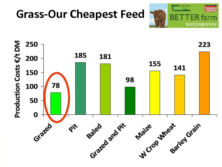 Grass-Our Cheapest Feed 