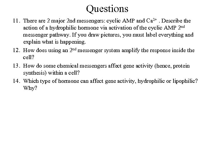 Questions 11. There are 2 major 2 nd messengers: cyclic AMP and Ca 2+.