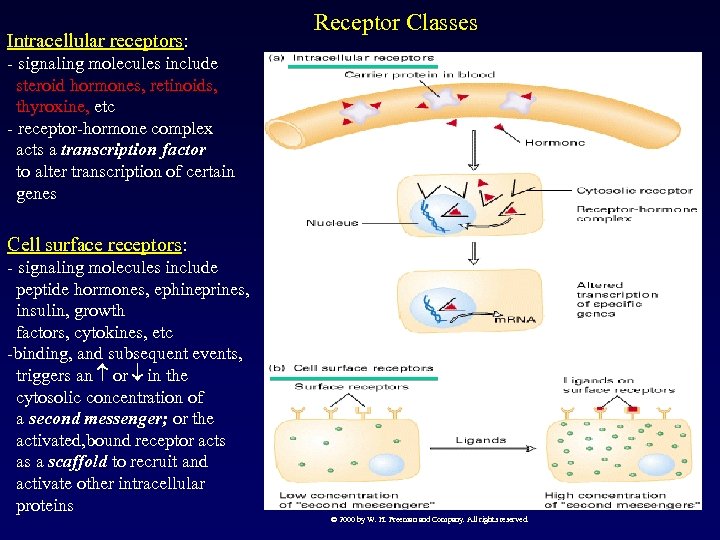 Intracellular receptors: Receptor Classes - signaling molecules include steroid hormones, retinoids, thyroxine, etc -