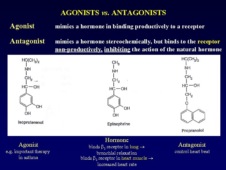 AGONISTS vs. ANTAGONISTS Agonist mimics a hormone in binding productively to a receptor Antagonist