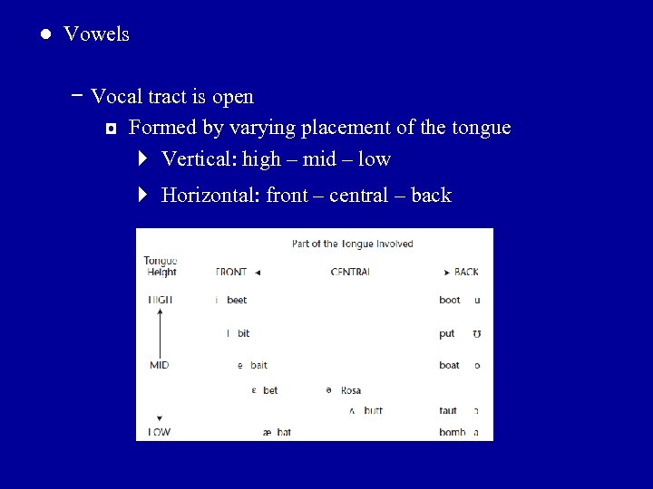 ● Vowels − Vocal tract is open ◘ Formed by varying placement of the