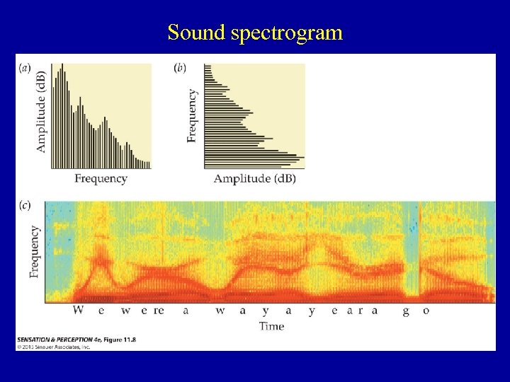 Sound spectrogram 