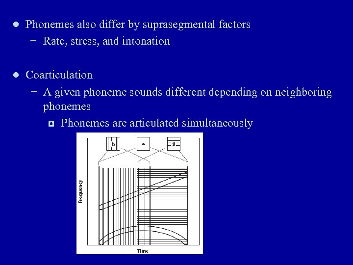 ● Phonemes also differ by suprasegmental factors − Rate, stress, and intonation ● Coarticulation