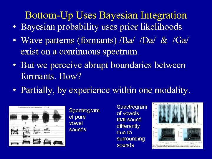 Bottom-Up Uses Bayesian Integration • Bayesian probability uses prior likelihoods • Wave patterns (formants)