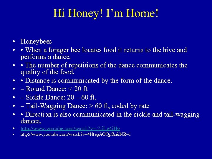 Hi Honey! I’m Home! • Honeybees • • When a forager bee locates food