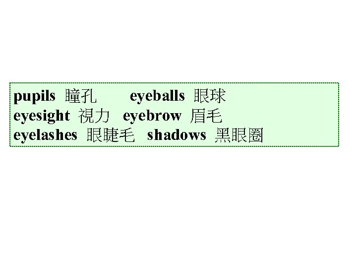 pupils 瞳孔 eyeballs 眼球 eyesight 視力 eyebrow 眉毛 eyelashes 眼睫毛 shadows 黑眼圈 