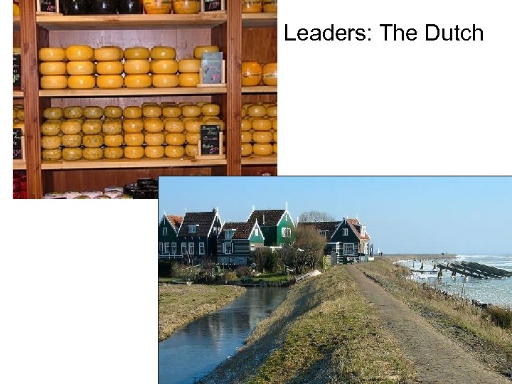 Leaders: The Dutch 