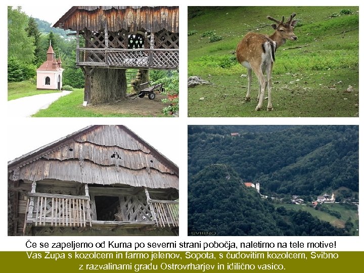 Če se zapeljemo od Kuma po severni strani pobočja, naletimo na tele motive! Vas