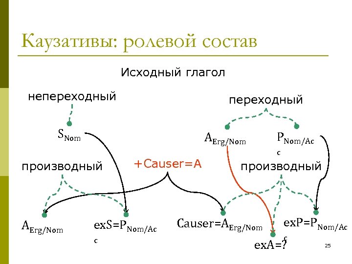 Каузативы: ролевой состав Исходный глагол непереходный SNom производный AErg/Nom PNom/Ac AErg/Nom +Causer=A ex. S=PNom/Ac