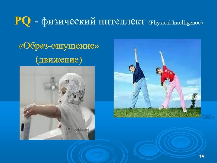 PQ - физический интеллект (Physical Intelligence) «Образ-ощущение» (движение) 14 