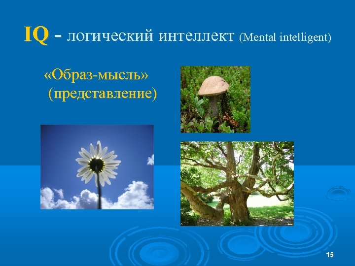 IQ - логический интеллект (Mental intelligent) «Образ-мысль» (представление) 15 