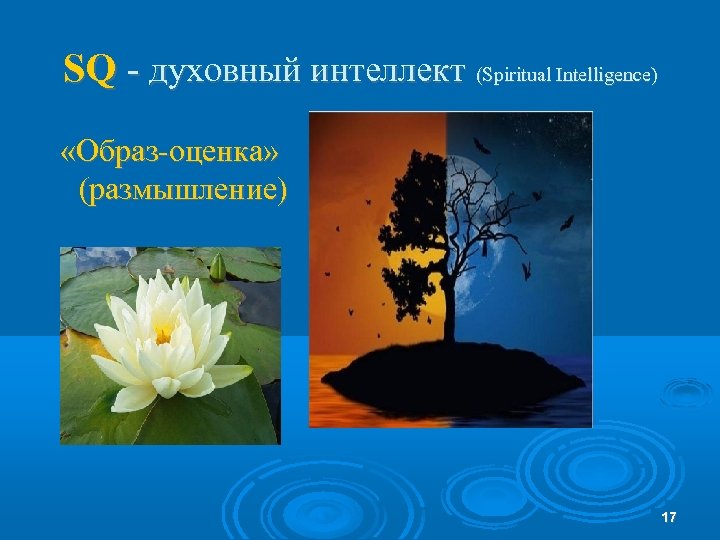 SQ - духовный интеллект (Spiritual Intelligence) «Образ-оценка» (размышление) 17 