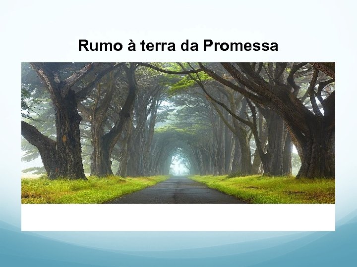 Rumo à terra da Promessa 