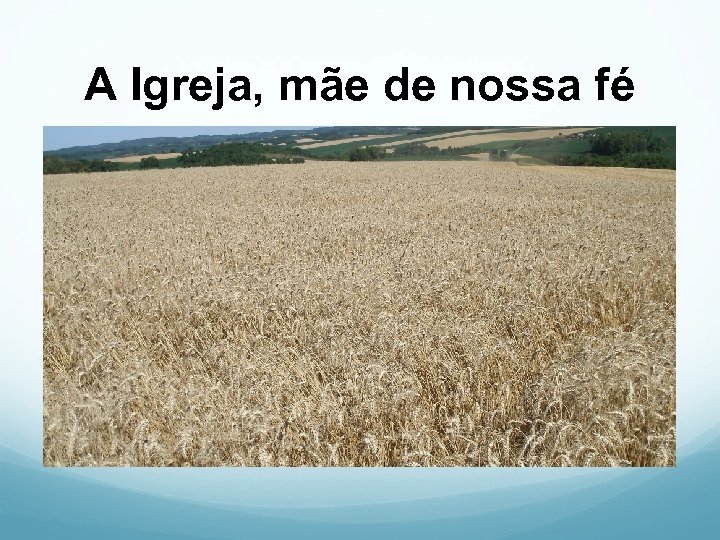 A Igreja, mãe de nossa fé 