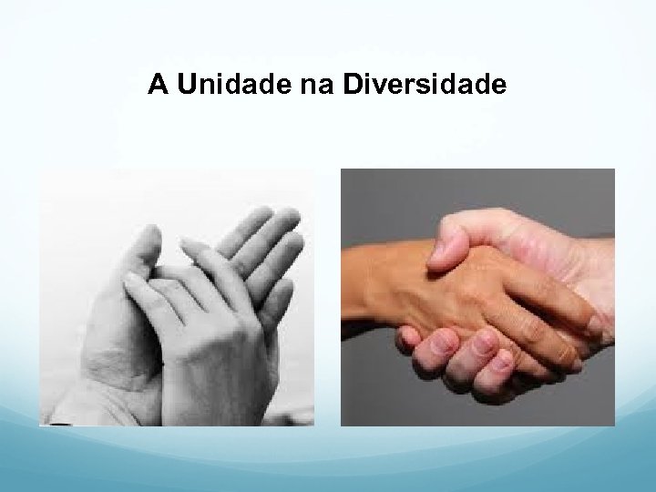 A Unidade na Diversidade 