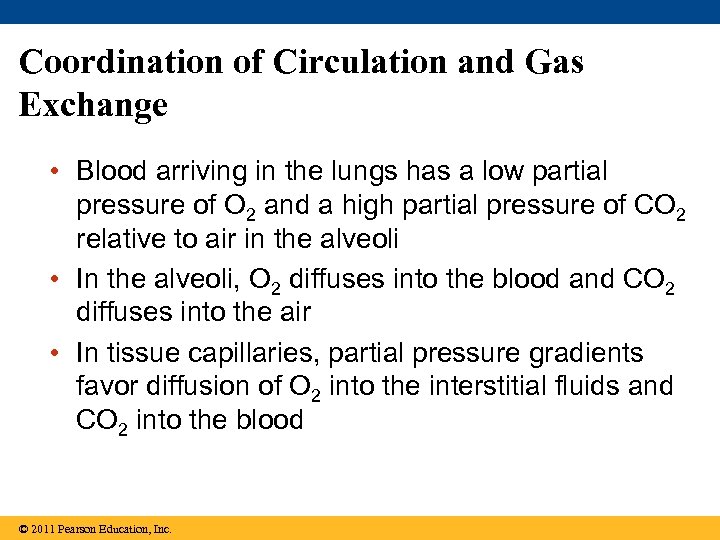 Coordination of Circulation and Gas Exchange • Blood arriving in the lungs has a