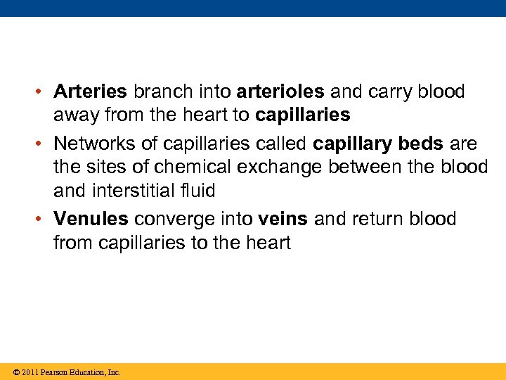  • Arteries branch into arterioles and carry blood away from the heart to