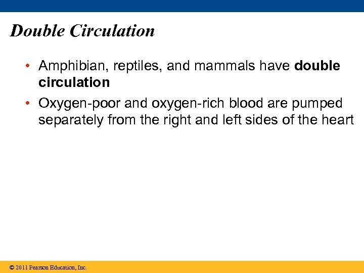 Double Circulation • Amphibian, reptiles, and mammals have double circulation • Oxygen-poor and oxygen-rich